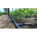 Крапельна стрічка AgroTape 6mil 20см 1,38л/год 1000м Емітерна Крапельна стрічка AgroTape 6mil 20см 1,38л/год 1000м Емітерна